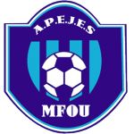 APEJES学院